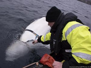 Paus Agen Intelijen Rusia Ternyata Hewan Terapi Bagi Anak-anak