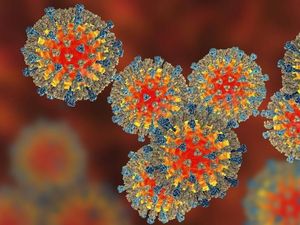 Duh! 34 Ribu Orang di Eropa Terinfeksi Campak Hanya dalam 2 Bulan