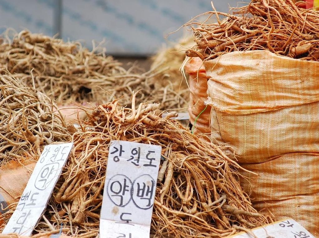 Mengapa Korea Selatan Disebut Negeri Ginseng?