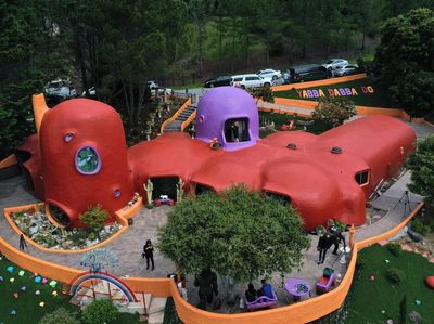 Foto: Rumah Bertema Zaman Purba, Unik Tapi Jadi Kontroversi