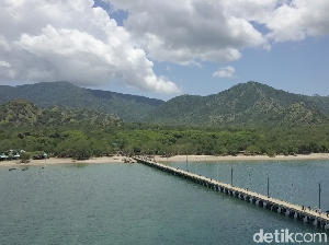 Curhat Orang Lokal soal Wacana Tiket Rp 14 Juta Pulau Komodo Curhat Orang Lokal soal Wacana Tiket Rp 14 Juta Pulau Komodo