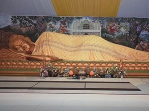 Tur Balikpapan, Ada Patung Buddha Tidur Sampai Penangkaran Orangutan