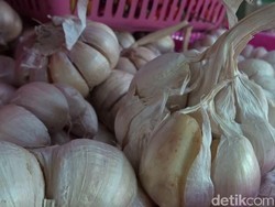 Harga Bawang Putih Jakarta Sempat Rp 100.000, Sekarang Rp 50.000