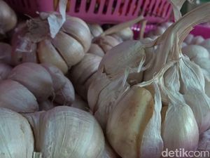 Harga Bawang Putih Jakarta Sempat Rp 100.000, Sekarang Rp 50.000 Harga Bawang Putih Jakarta Sempat Rp 100.000, Sekarang Rp 50.000