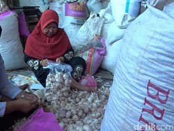 Sempat Sentuh Rp 80 Ribu/Kg, Harga Bawang Putih di Rembang Turun