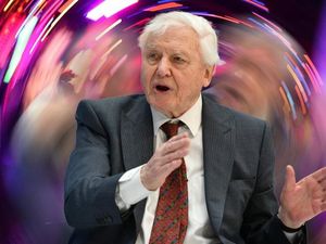 Sir David Attenborough Pecahkan Rekor Instagram Sir David Attenborough Pecahkan Rekor Instagram