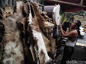 Yuk, Lihat Proses Pembuatan Bedug di Tanah Abang Yuk, Lihat Proses Pembuatan Bedug di Tanah Abang