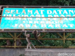 Ngabuburit Bareng Monyet di Petilasan Sunan Kalijaga Cirebon