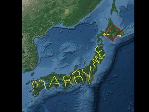 Romantis Banget, Pria Ini Lamar Kekasihnya Lewat Google Earth Romantis Banget, Pria Ini Lamar Kekasihnya Lewat Google Earth