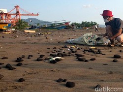 Pengelola PLTU Janji Bersihkan Batu Bara di Pantai Cipatuguran