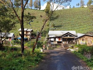 Mengunjungi Ranupani Gunung Semeru Sebelum Dibuka 12 Mei 2019