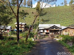 Mengunjungi Ranupani Gunung Semeru Sebelum Dibuka 12 Mei 2019