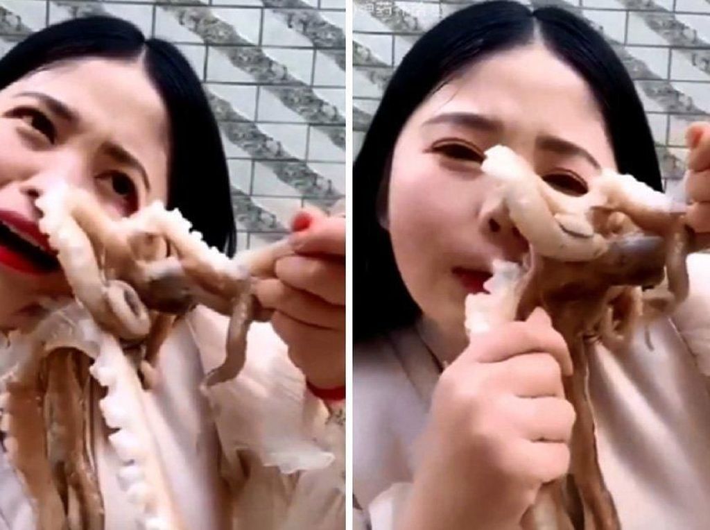 Meski Berbahaya, Gurita Hidup Jadi Menu 5 Video Mukbang Ekstrem Meski Berbahaya, Gurita Hidup Jadi Menu 5 Video Mukbang Ekstrem