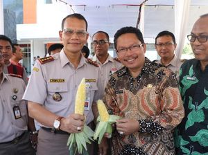 NTB Diminta Diminta Langsung Ekspor Sarang Burung Walet ke Tiongkok