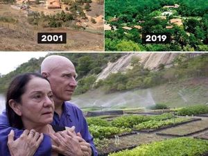 Keren Banget, Pasangan Ini Ubah Hutan Gundul Kembali Hijau dalam 20 Tahun