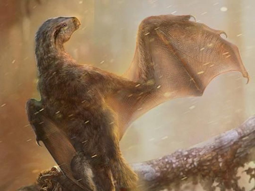 Rupanya Dinosaurus Ada yang Punya Sayap Mirip Kelelawar Rupanya Dinosaurus Ada yang Punya Sayap Mirip Kelelawar