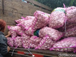 Kemendag Sebar 8 Ton Bawang Putih di Bandung