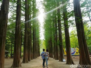 Inilah Negara Dalam Negara di Korea Selatan