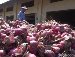 Kemendag Minta Indofood Cs Serap Bawang Merah Petani