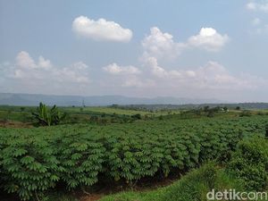 Bandara Sukabumi di Tengah Kebun Singkong, LRT Siap Beroperasi Bandara Sukabumi di Tengah Kebun Singkong, LRT Siap Beroperasi