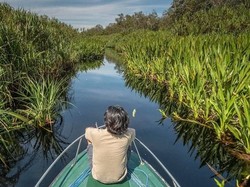 Taman Nasional Tanjung Puting Siap Jadi Destinasi Ekowisata Dunia