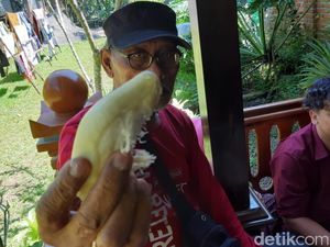 Musim Durian Segera Usai, Buruan Pesan Online untuk Buka Puasamu Musim Durian Segera Usai, Buruan Pesan Online untuk Buka Puasamu