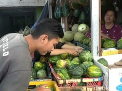 Berkah Pedagang Buah Blewah di Jember Saat Ramadhan