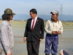 Tinjau Sawah, Mentan Dapat Ilmu dari Petani Jepang