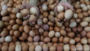 Harga Telur Betah di Rp 26.000/Kg