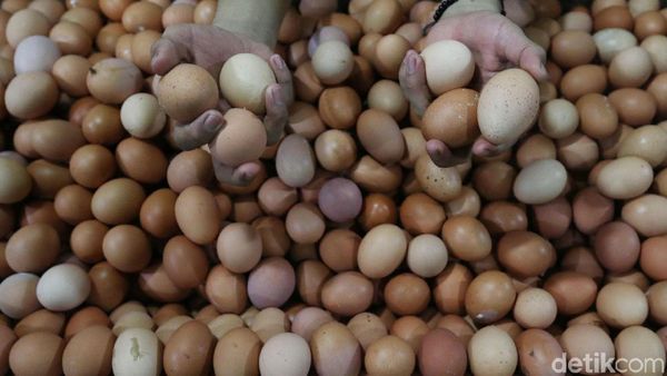 Harga Telur Betah di Rp 26.000/Kg