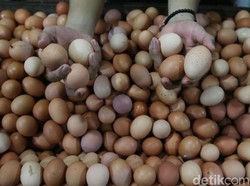 Harga Telur Ayam Turun Terus Jelang Imlek