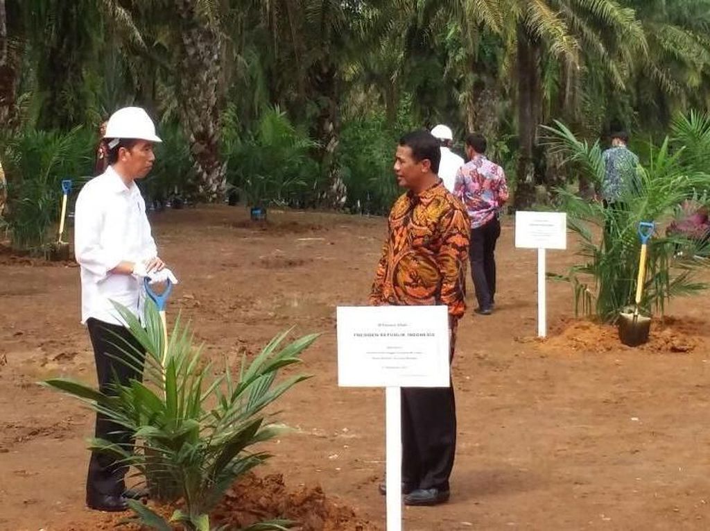 Data Kebun Sawit Berbeda-beda, Kementan Siap Satukan Data Data Kebun Sawit Berbeda-beda, Kementan Siap Satukan Data