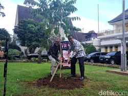 Peringati 70 Tahun Bilateral, Anies-Dubes Inggris Tanam Pohon Bersama