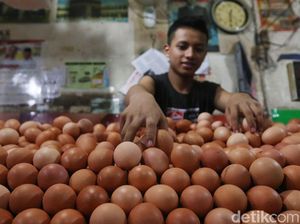 Kementan Pantau Ketat Stok Telur Ayam Selama Ramadhan