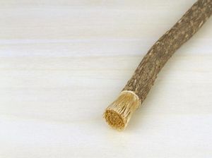 Catat! 7 Manfaat Siwak bagi Kesehatan Mulut dan Gigi Catat! 7 Manfaat Siwak bagi Kesehatan Mulut dan Gigi