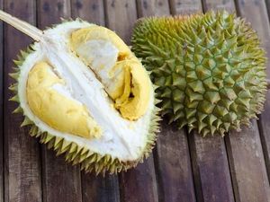 Pencinta Durian, Riau Saat Ini Dilanda Banjir Durian Lezat Pencinta Durian, Riau Saat Ini Dilanda Banjir Durian Lezat