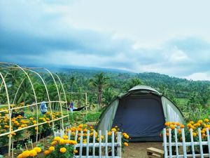 Lombok Timur Tetapkan 18 Desa Wisata, Apa Saja? Lombok Timur Tetapkan 18 Desa Wisata, Apa Saja?
