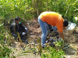 Mayat Terbakar di Hutan Kayu Putih Mojokerto Seorang Perempuan