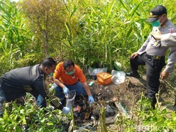 Kepala Mayat Terbakar di Hutan Mojokerto Terbalut Karung Plastik