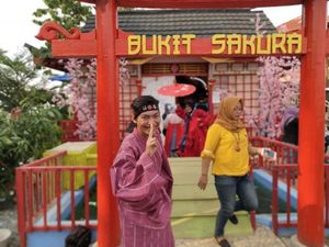 Bukit Sakura Kemiling, Rekomendasi Wisata ala Jepang di Lampung