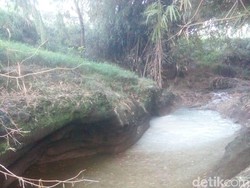Tercemar Limbah Pabrik Tahu, Ribuan Ikan di Sungai Magetan Mati