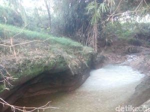 Tercemar Limbah Pabrik Tahu, Ribuan Ikan di Sungai Magetan Mati Tercemar Limbah Pabrik Tahu, Ribuan Ikan di Sungai Magetan Mati