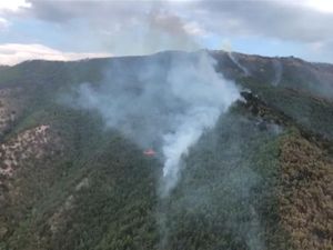 Kebakaran Lahan Terjadi di Aceh Besar, Diduga Disengaja
