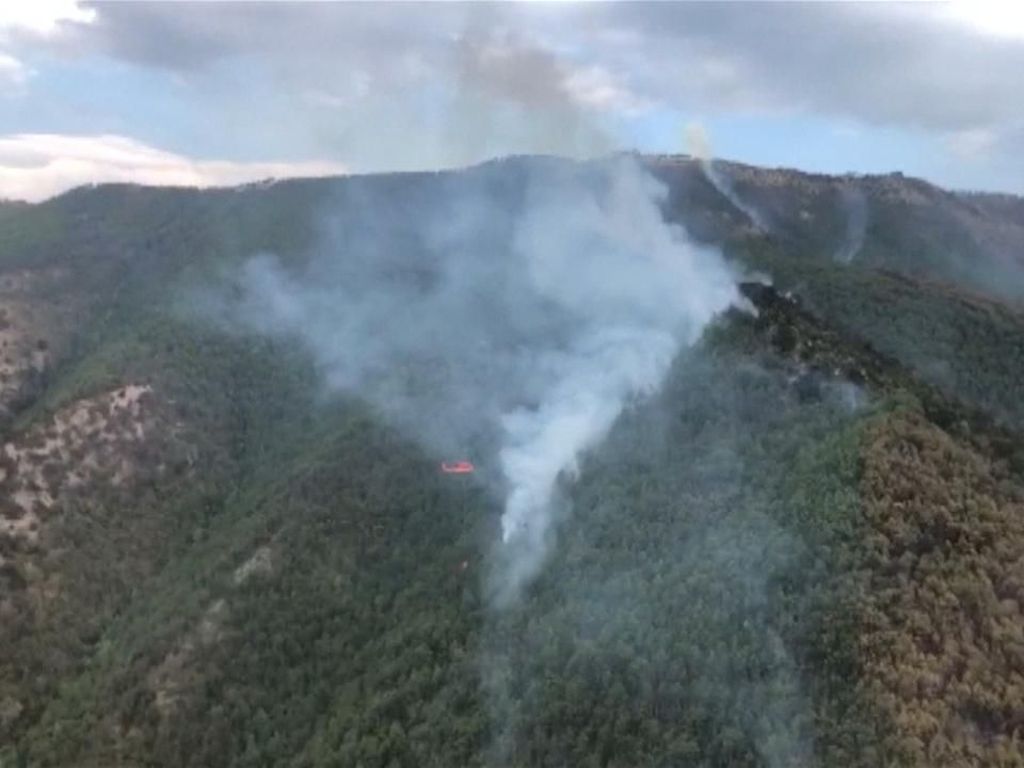 Hutan di Pegunungan China Terbakar, 460 Pemadam Dikerahkan Hutan di Pegunungan China Terbakar, 460 Pemadam Dikerahkan