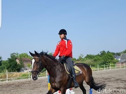 Dari Pelana Kuda ke Kursi Dewan