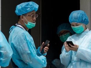 Kasus Flu Babi Afrika, Hong Kong Mulai Musnahkan 6 Ribu Babi Kasus Flu Babi Afrika, Hong Kong Mulai Musnahkan 6 Ribu Babi