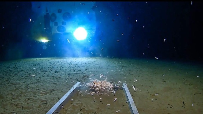 Menguak Tabir Challenger Deep, Jurang Laut Terdalam yang Bikin Merinding