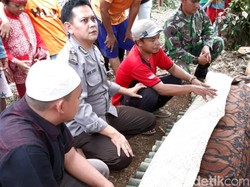 Pohon Tumbang di Sukabumi Tewaskan Suami yang Tengah Bonceng Istri