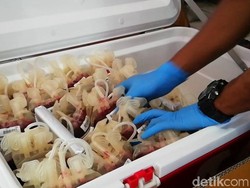 PMI Pasuruan Gencar Gelar Donor Darah Amankan Stok Mudik