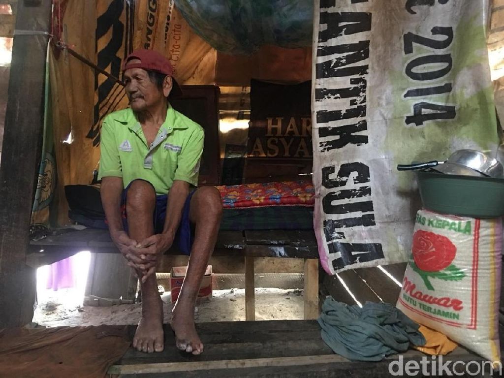 Hidup Prihatin Lansia di Polewali Mandar: Tinggal di Gubuk Nyaris Ambruk Hidup Prihatin Lansia di Polewali Mandar: Tinggal di Gubuk Nyaris Ambruk